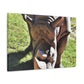 Climbing Zorton! - Canvas - Wildlife