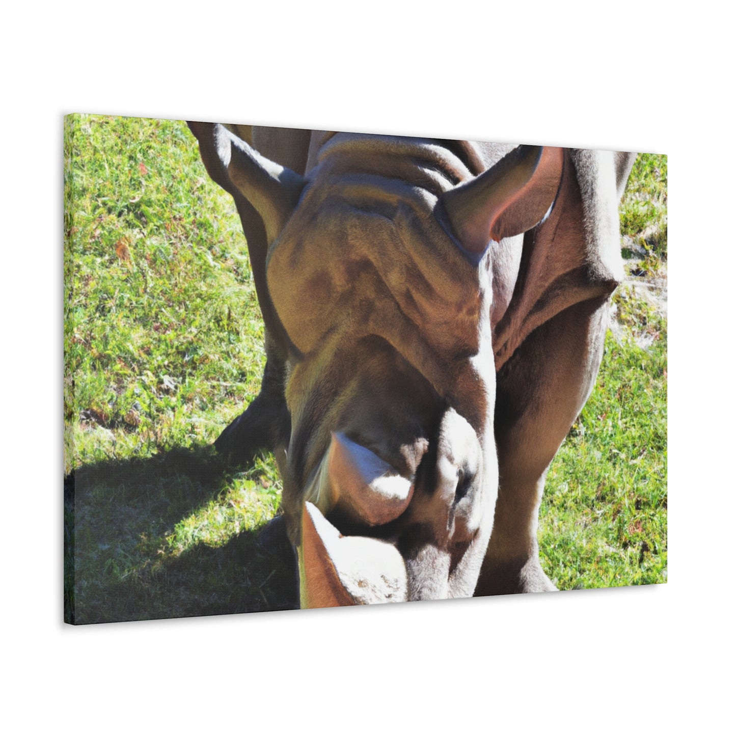 Climbing Zorton! - Canvas - Wildlife