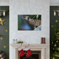 Peekaboo Crittter- Canvas - Wildlife