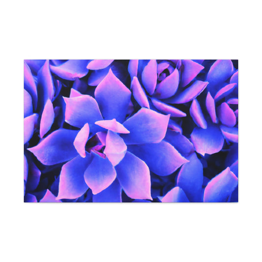 Floral Eden Print. - Canvas - Succulent