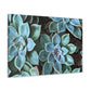 Green Paradise. - Canvas - Succulent