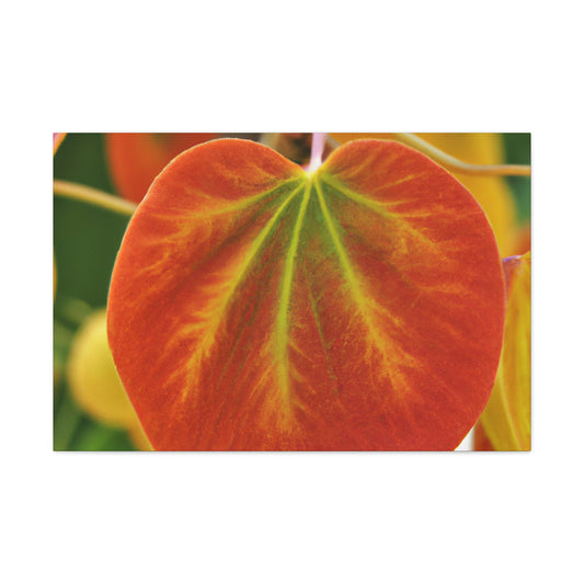"Garden Of Abundance" - Canvas - Plants