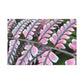 Hypseus, The Mystic Muse. - Canvas - Floral