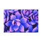 Floral Eden Print. - Canvas - Succulent