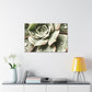 Neutral Close Up - Canvas - Succulent