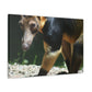 Furfuzzle! - Canvas - Wildlife