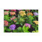 'Garden Symphony' - Canvas - Floral