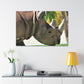 Rhino Head - Canvas - Wildlife