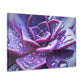 Purple Splendor - Canvas - Succulent