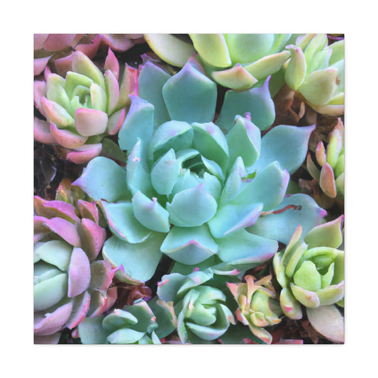 "Garden of Abundance" - Canvas - Succulent