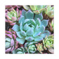 "Garden of Abundance" - Canvas - Succulent
