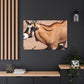 Stripespike. - Canvas Wildlife