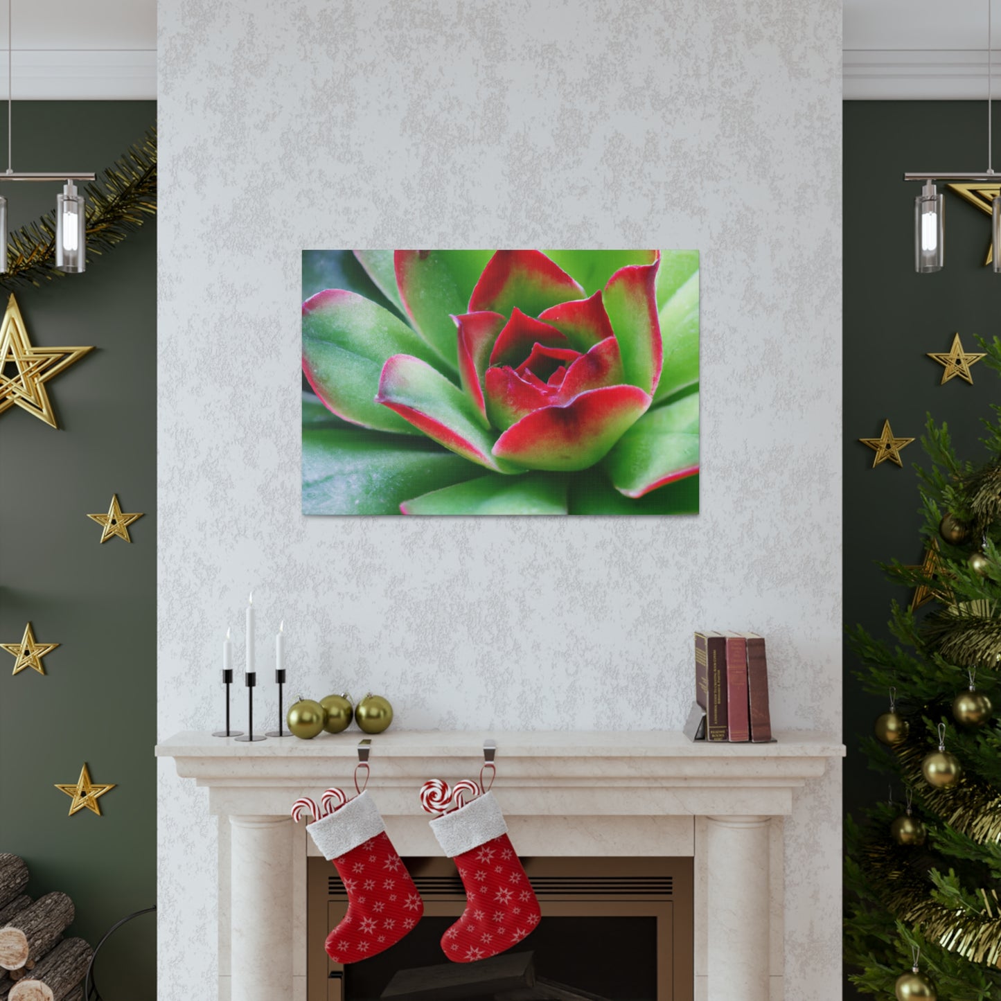 Ariadne of the Red Thread. - Canvas - Succulent