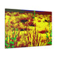 DuneScape- Landscape - Canvas