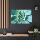Irisaurus. - Canvas - Succulent