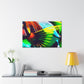 "Fin" - Underwater Canvas