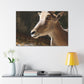 Elky Horn - Canvas Wildlife