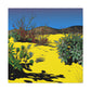 Sandswept Vista - Landscape - Canvas - Desert