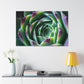 "Flowering Patio" - Canvas - Succulent
