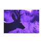 Majestic Tailus - Canvas - Wildlife
