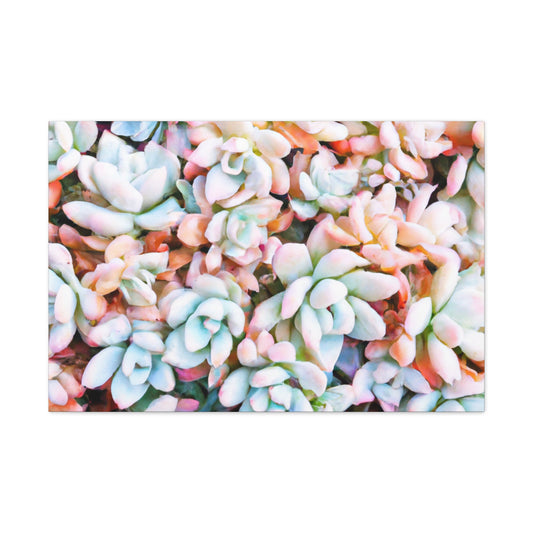 Floral Bouquet in the Garden. - Canvas - Succulent