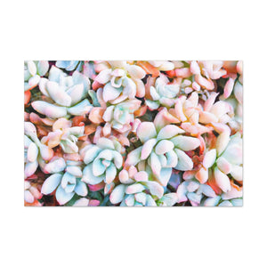 Floral Bouquet in the Garden. - Canvas - Succulent