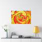 Oceanic Peacock - Abstract - Canvas