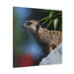 Peekaboo Crittter- Canvas - Wildlife