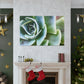 Garden of Delights - Canvas - Succulent