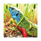 Lizard - Wildlife Canvas