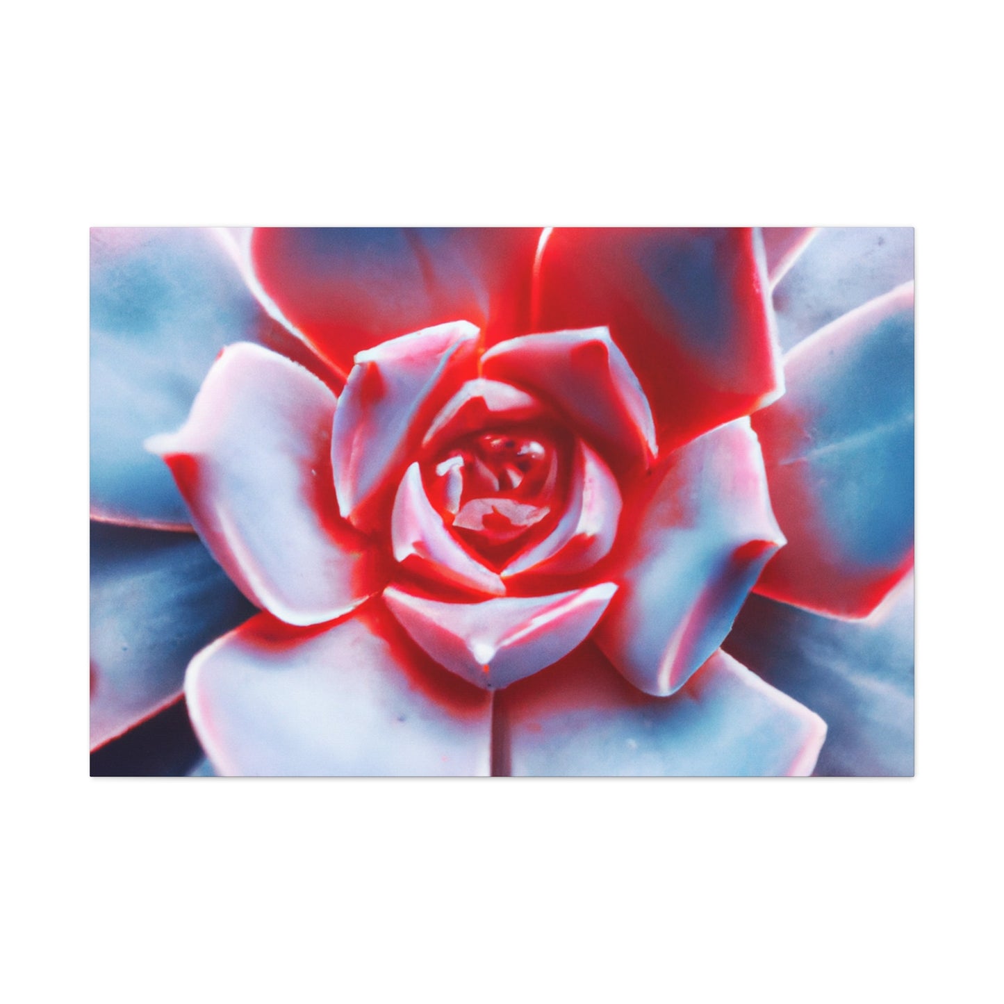 "Garden Glimmer" - Canvas - Succulent