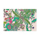Blissful Beauty - Floral - Canvas