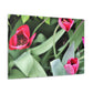 Pink Pop Ups - Canvas - Floral