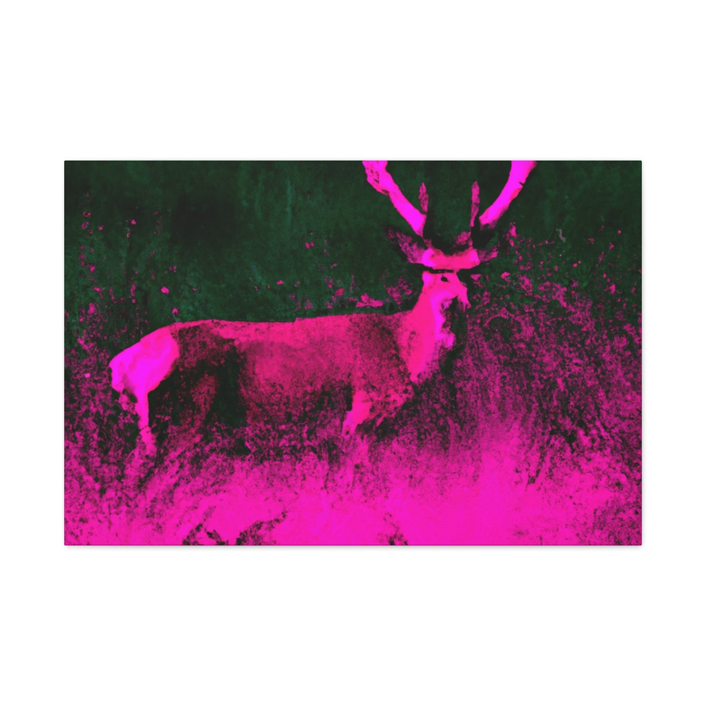 Pink Steer - Canvas - Wildlife