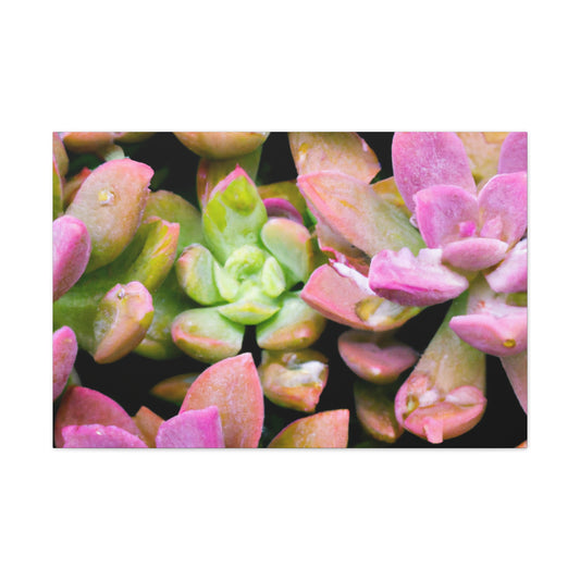 Blooming Garden Delight - Canvas - Succulent