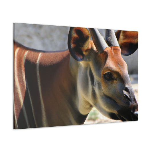 Elk Face- Canvas Wildlife