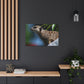Peekaboo Crittter- Canvas - Wildlife