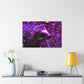 Purple Porcipine. - Canvas - Wildlife