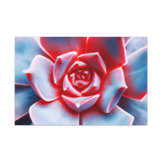 "Garden Glimmer" - Canvas - Succulent