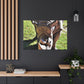 Climbing Zorton! - Canvas - Wildlife