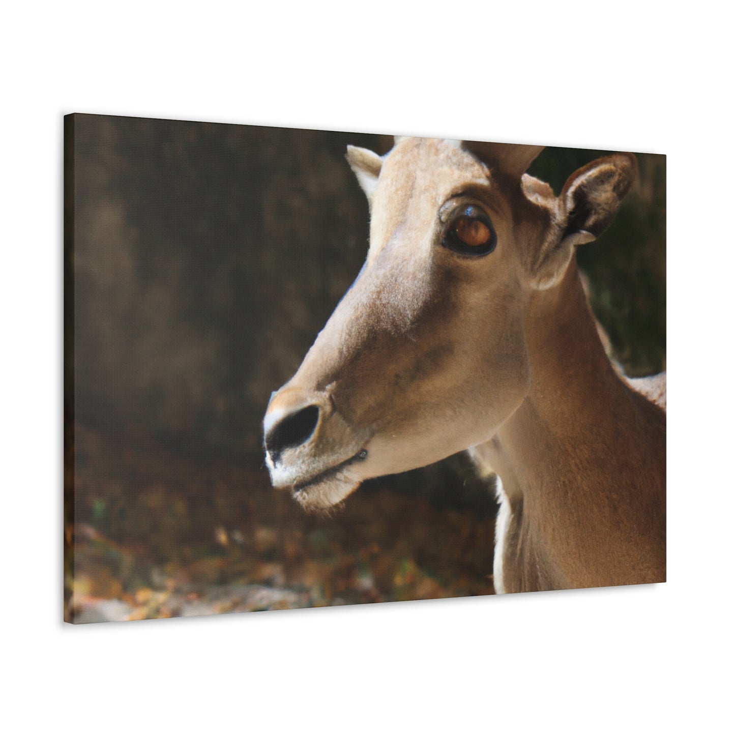 Elky Horn - Canvas Wildlife