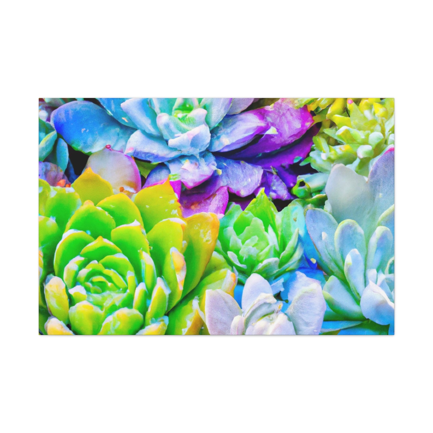 Garden of Bright Delights - Canvas - Succulent