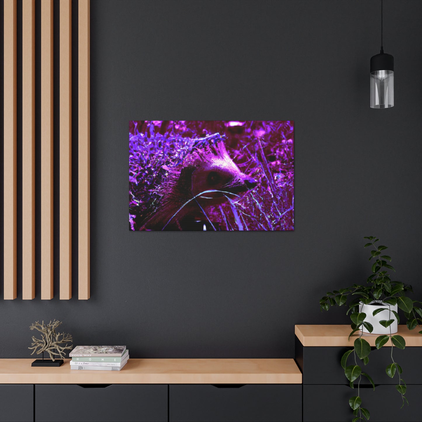 Purple Porcipine. - Canvas - Wildlife