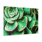 "Garden Splendor" - Canvas - Succulent