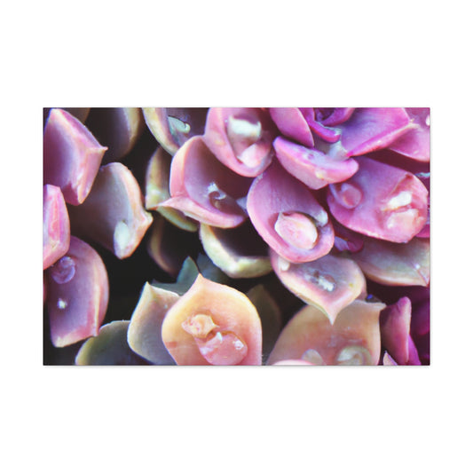 Garden of Splendor. - Canvas - Succulent