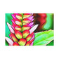 Punch - Canvas - Floral