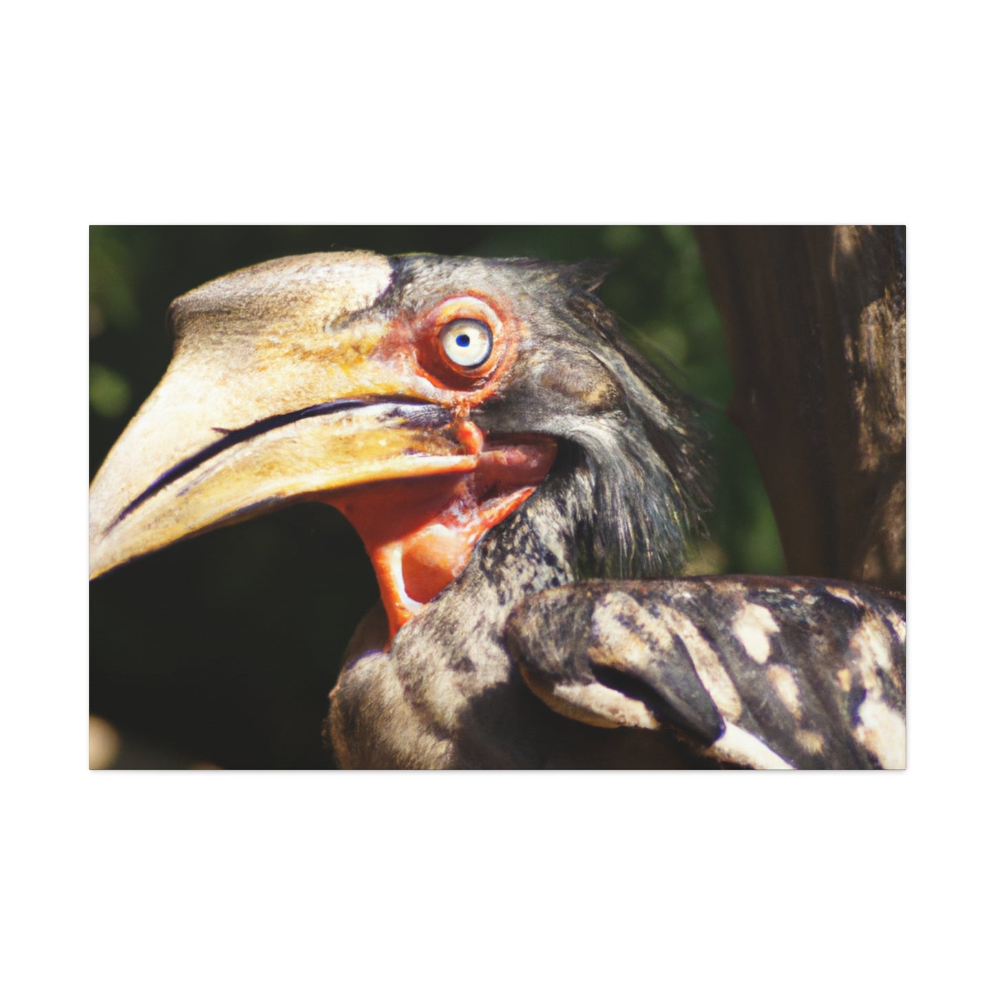 Scary Feathers - Canvas - Wildlife